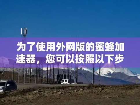 为了使用外网版的蜜蜂加速器，您可以按照以下步骤操作