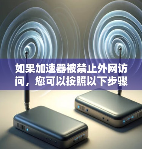 如果加速器被禁止外网访问，您可以按照以下步骤进行处理