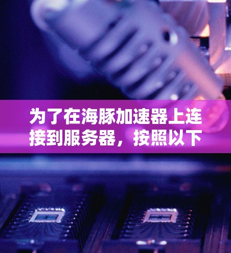 为了在海豚加速器上连接到服务器,按照以下步骤进行操作