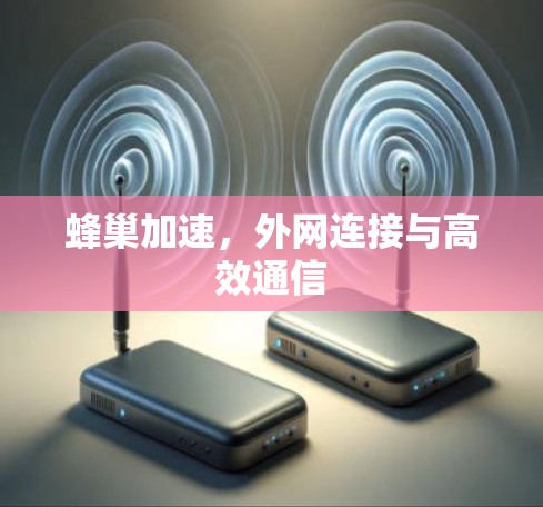 蜂巢加速，外网连接与高效通信