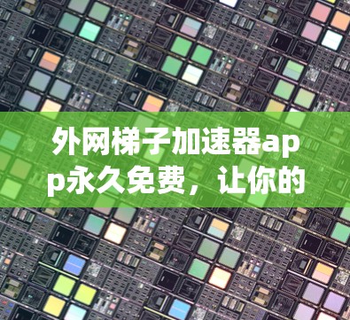 外网梯子加速器app永久免费,让你的数据连接更稳定!