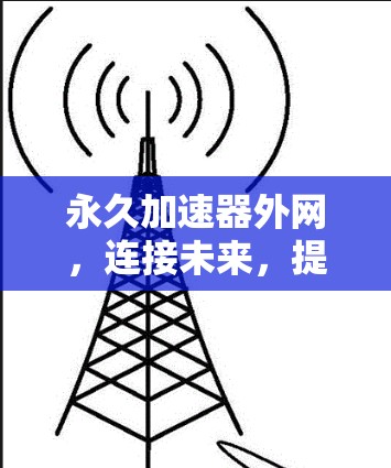 永久加速器外网，连接未来，提升网络效能