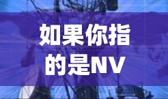 如果你指的是NVP（Net Variety Package）作为外网加速器的工具，那么以下几点可以提供一些有用的信息