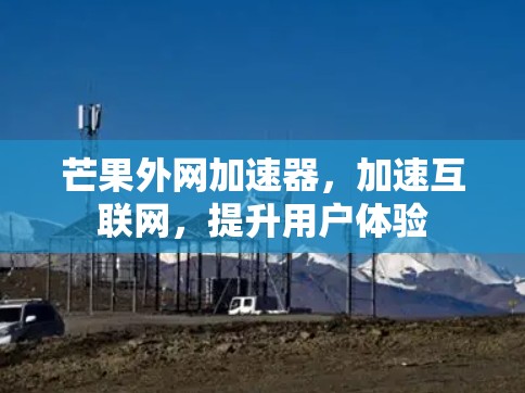 芒果外网加速器,加速互联网,提升用户体验 芒果外网加速器,加速互联网,提升用户体验