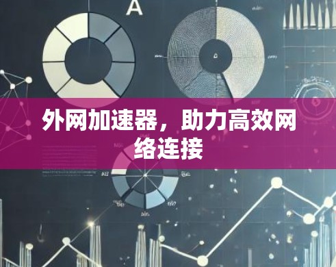 外网加速器，助力高效网络连接