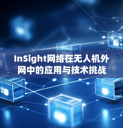 InSight网络在无人机外网中的应用与技术挑战