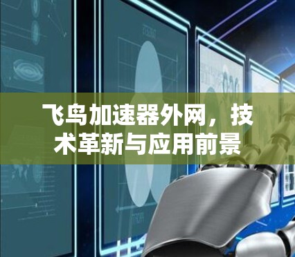 飞鸟加速器外网，技术革新与应用前景
