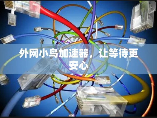 外网小鸟加速器，让等待更安心