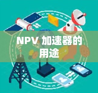 NPV 加速器的用途 NPV 加速器的用途