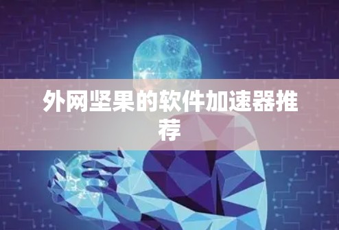 外网坚果的软件加速器推荐