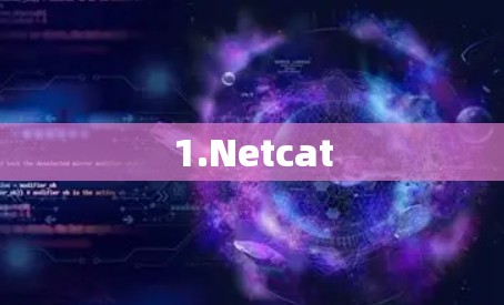 1.Netcat