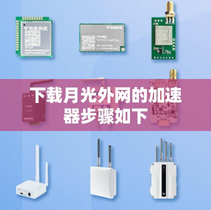 下载月光外网的加速器步骤如下