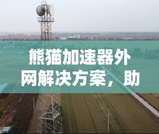 熊猫加速器外网解决方案,助力您的网络加速 熊猫加速器外网解决方案,助力您的网络加速