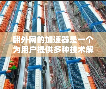 翻外网的加速器是一个为用户提供多种技术解决方案的工具，帮助用户更快地访问互联网资源。以下是对翻外网加速器的详细分析