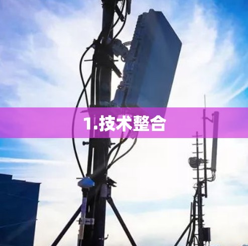 1.技术整合 1.技术整合