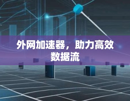 外网加速器,助力高效数据流 外网加速器,助力高效数据流