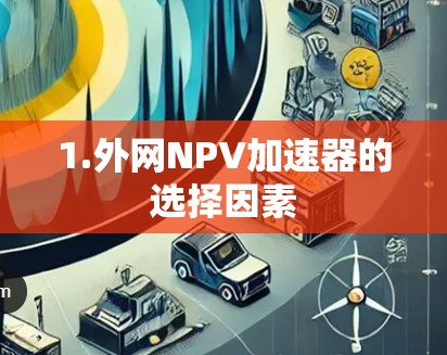 1.外网NPV加速器的选择因素 1.外网NPV加速器的选择因素