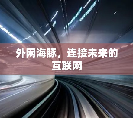外网海豚，连接未来的互联网