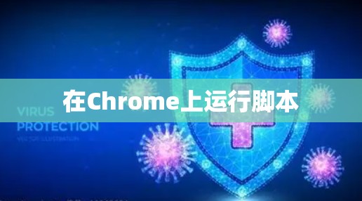 在Chrome上运行脚本