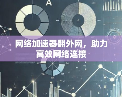 网络加速器翻外网，助力高效网络连接