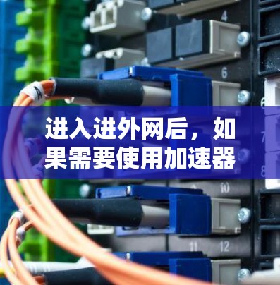 进入进外网后，如果需要使用加速器来提升网络速度，以下是一些通用的步骤和建议