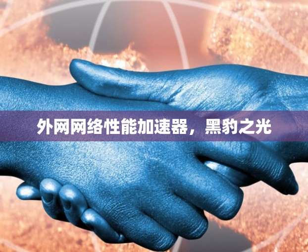 外网网络性能加速器，黑豹之光