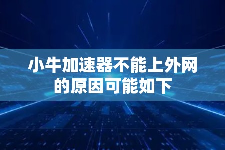 小牛加速器不能上外网的原因可能如下