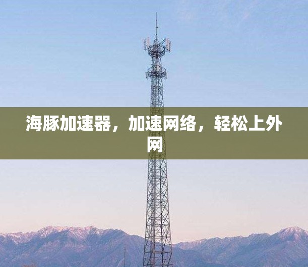 海豚加速器,加速网络,轻松上外网 海豚加速器,加速网络,轻松上外网