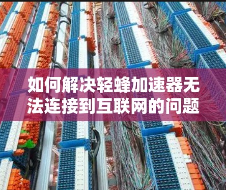 如何解决轻蜂加速器无法连接到互联网的问题？