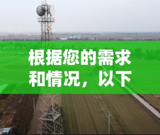 根据您的需求和情况，以下是针对您问题的详细建议