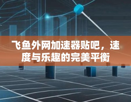 飞鱼外网加速器贴吧，速度与乐趣的完美平衡