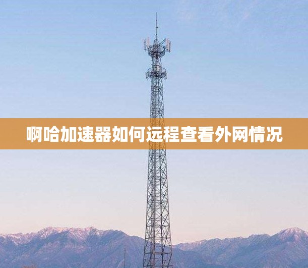 啊哈加速器如何远程查看外网情况