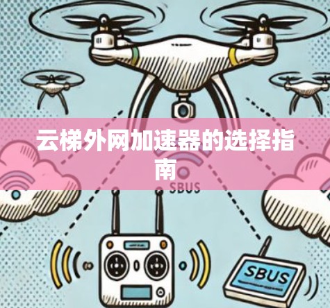 云梯外网加速器的选择指南