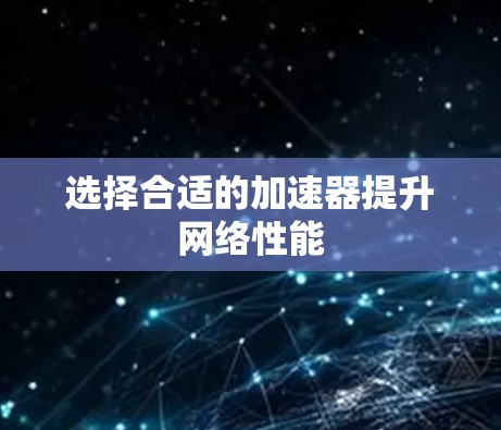 选择合适的加速器提升网络性能