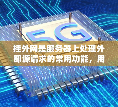 挂外网是服务器上处理外部源请求的常用功能，用于同时处理多个外部源的数据请求。以下是挂外网的详细实现步骤和注意事项