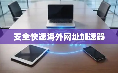 安全快速海外网址加速器