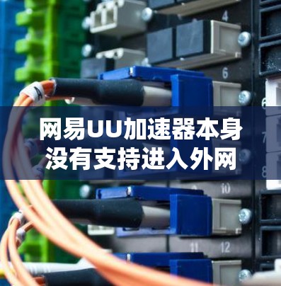 网易UU加速器本身没有支持进入外网的功能，它主要通过加速下载的速度来帮助用户。然而，如果你需要访问网易UU，可以通过以下步骤实现