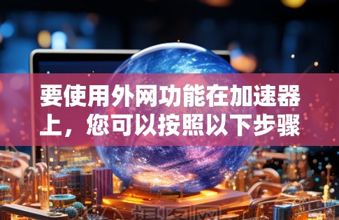要使用外网功能在加速器上，您可以按照以下步骤操作