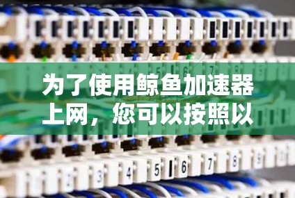 为了使用鲸鱼加速器上网，您可以按照以下步骤操作