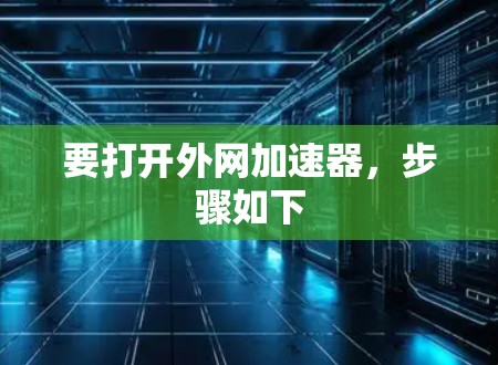 要打开外网加速器，步骤如下