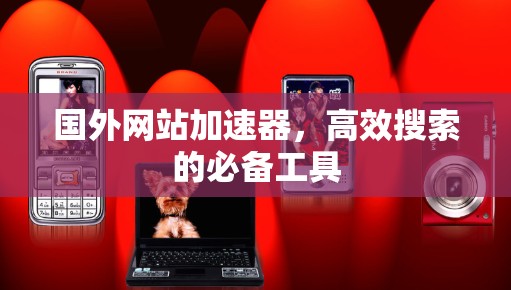 国外网站加速器,高效搜索的必备工具 国外网站加速器,高效搜索的必备工具