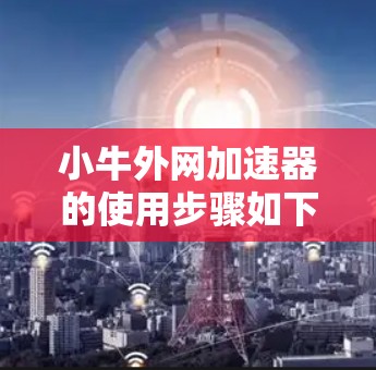 小牛外网加速器的使用步骤如下