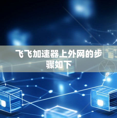 飞飞加速器上外网的步骤如下