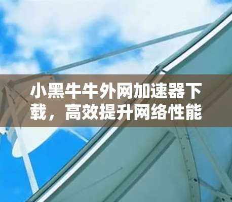 小黑牛牛外网加速器下载，高效提升网络性能的便捷工具