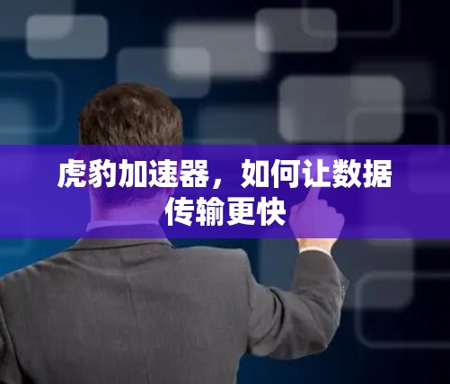 虎豹加速器,如何让数据传输更快 虎豹加速器,如何让数据传输更快