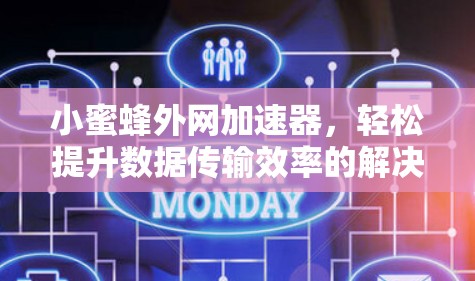 小蜜蜂外网加速器，轻松提升数据传输效率的解决方案