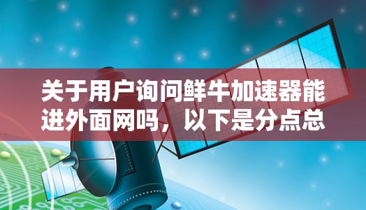 关于用户询问鲜牛加速器能进外面网吗，以下是分点总结和详细分析