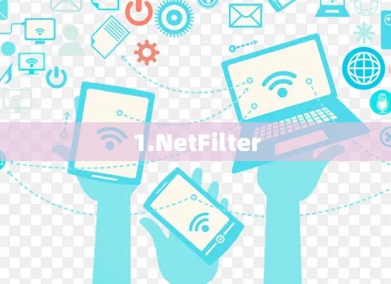 1.NetFilter