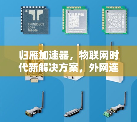 归雁加速器，物联网时代新解决方案，外网连接让未来更高效