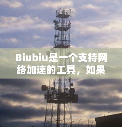 Biubiu是一个支持网络加速的工具，如果你想在使用外网时使用它，可能需要一些额外的步骤。以下是一些建议